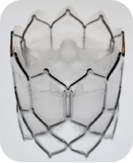 PolyVascular polymer transcatheter pulmonary valve designed for young children
